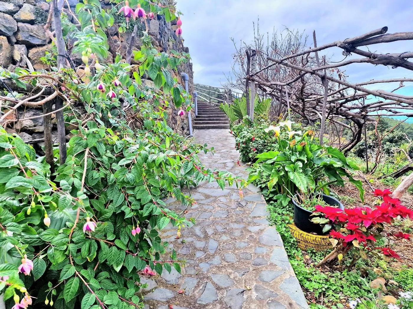 Mountain Rural House Teide Volcano By Hrtenerife Net 伊科德·德·洛斯·维诺斯
